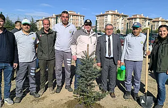 Afyonkarahisar'da Binlerce Fidan Toprakla Buluşturuldu