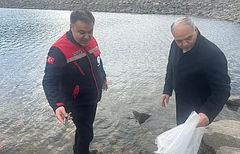 Afyonkarahisar'ın Göllerine 789 Bin Sazan Yavrusu Bırakıldı
