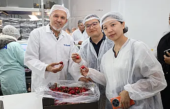 Afyonkarahisar Kirazını Çinli Heyet İnceledi