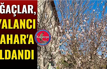 Ağaçlar, 'Yalancı Bahar'a Aldandı