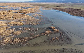 Akşehir Gölü'nde Yıllardır Görülmeyen Oldu