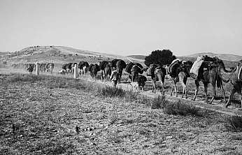 Albert Gabriel'in Objektifinden 1937 Yılında Afyonkarahisar