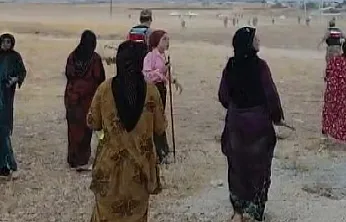 Arazi Anlaşmazlığı Kavgaya Dönüştü: 8 Yaralı