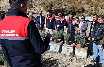 Arıcılara Lavanta Fidesi Dağıtıldı