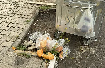 Boş Konteyner Yanına Atılan Çöpler Tepki Çekti