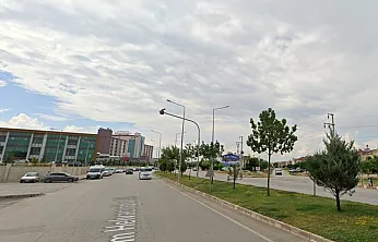 'Bu Ağaçlara Ne Olacak?'