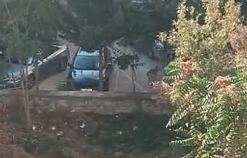 'Bu köpekler çocuklara saldırsa kim sorumluluk alacak?'