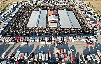 Çayırbağ Hayvan Pazarı Önlem Amaçlı Kapatıldı