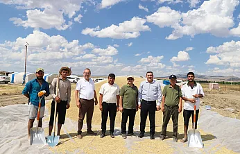 Çobanlar'da Hasat Zamanı… Üreticiler Yalnız Değil