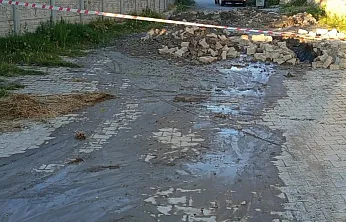 Çukura Düşen İnek Olayında Belediye'den Açıklama Var