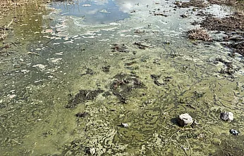 Eber Gölü Alarm Veriyor: Kuraklık Yetmedi, Şimdi de Kirlilik Tehlikesi!