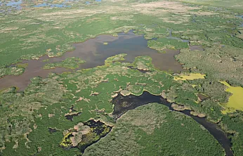 Eber Gölü Çevresinde Üreticinin Yüzü Gülüyor