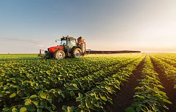 Ege İhracatında Afyon İmzası