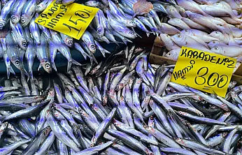 Havaların Soğumasıyla Balık Tezgahlarında Alışverişler Hızlandı