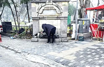 Hayvanları Sevelim Ama… Lütfen Biraz Daha Dikkat