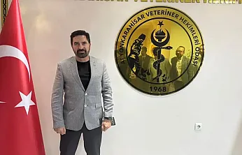 Her Yıl 59 Bin Can Alıyor! Uzman İsimden Dikkat Çeken Çağrı