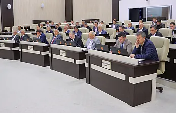 İl Genel Meclisi'nde Mandacılık İçin Ödenek Görüşülecek