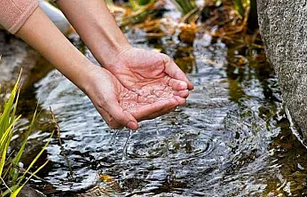 İl Tarım Müdürlüğü'nden Uyarı: Başvurular Başladı!