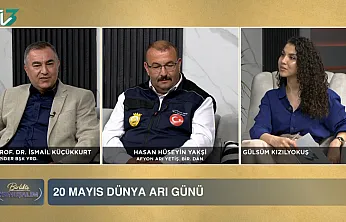 İşin Uzmanları, TV3'te Anlattı: Arı Varsa Hayat Var