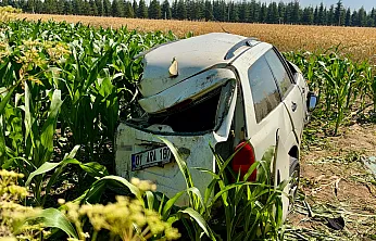 Kargo Aracı Otomobille Çarpıştı: 5 Yaralı