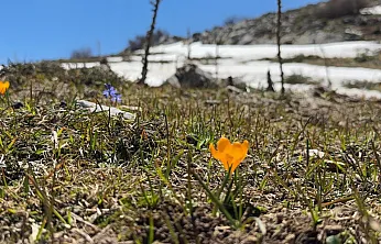 Karların Arasında Bahar Güzelliği: Akgöl Yaylası Mest Etti