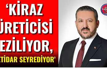 'Kiraz Üreticisi Eziliyor, İktidar Seyrediyor'