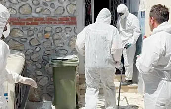 Mahalleyi Pire Bastı, O Hayvanlara Operasyon Yapıldı