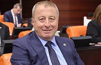 Milletvekili Olgun: Dünyayı Kıskandırıyoruz