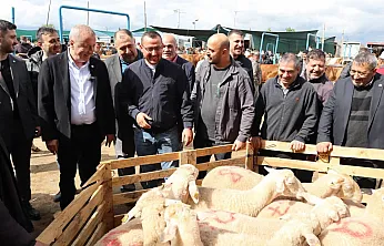 Milletvekili Olgun: Hayvan Pazarında Geçim Mücadelesini Gördük
