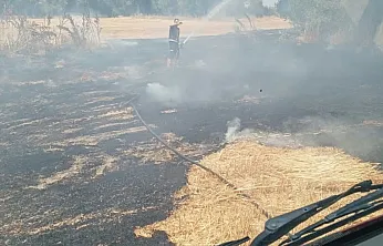 Ot Yangını Paniğe Neden Oldu