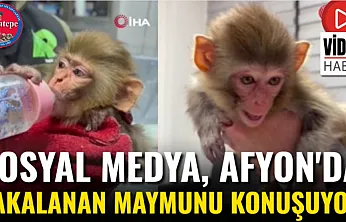 Sosyal Medya, Afyon'da Yakalanan Maymunu Konuşuyor