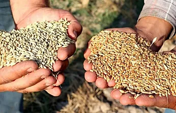 Tarihi Not Edin: 5 Ekim Saat 12.00'de Başlıyor!