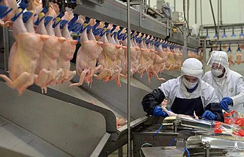 Tavuk Eti İhracatına Ramazan Ayarı