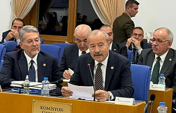 Taytak: Afyon Sanayinin Anadolu'ya Taşınmasına Hazır