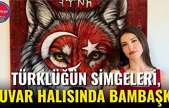Türklüğün Simgeleri, Duvar Halısında Bambaşka
