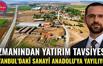 Uzmanından Yatırım Tavsiyesi: İstanbul'daki Sanayi Anadolu'ya Yayılıyor