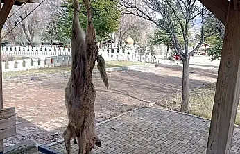 Vahşi Olay Soruşturuluyor