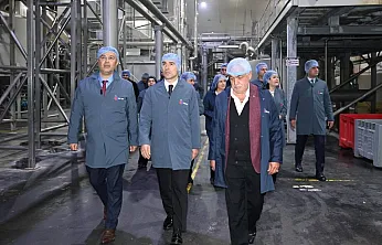 Vali Aktaş Patates Üretimi Tesisini Gezdi