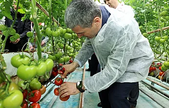 Vali Aktaş'tan Seralarda İnceleme