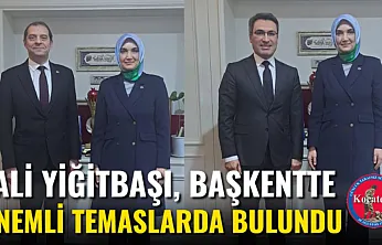 Vali Yiğitbaşı, Başkentte Önemli Temaslarda Bulundu