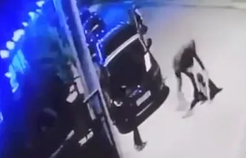Vicdanları Sızlatan Dayak