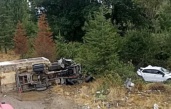 Yol Kenarında Bekleyen Abi-Kardeşe Kamyonet Çarptı