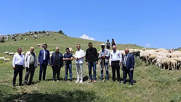 Salar'da 27 Koyun Alan Çiftçinin Koyun Sayısı 57'Ye Yükseldi