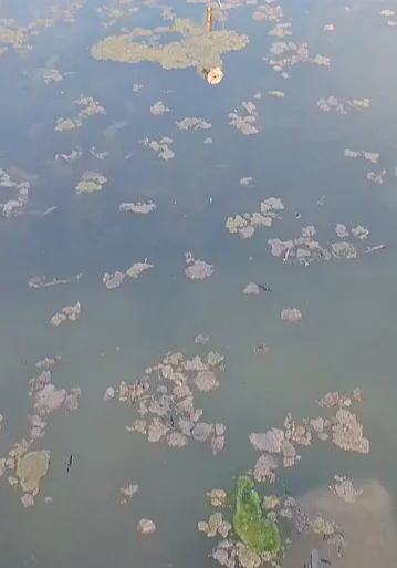 Afyon'da Yaz Gelmeden Kriz Patladı!