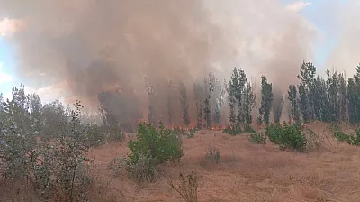 Afyon'da Sıcak Saatler! Kavaklık Alanda Yangın Çıktı