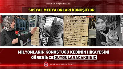 Afyon'un En Ünlü Kedisi Ortaya Çıktı! O Yazının Sırrı Çözüldü