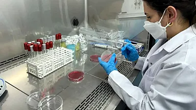 Ayıplı Listede Yine Afyon Markaları Var