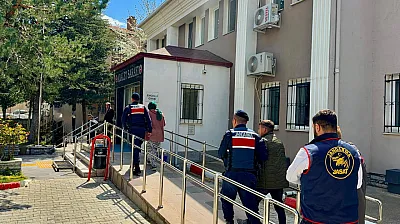 İntihar Denmişti, Cinayet Çıktı