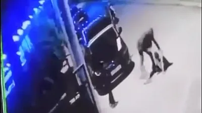 Vicdanları Sızlatan Dayak