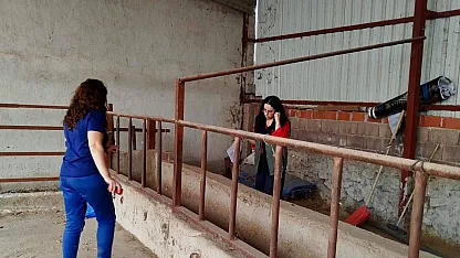 Afyon'da Hayvancılık İşletmeleri Mercek Altına Alındı